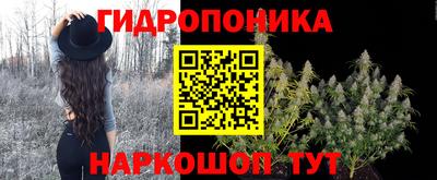 a pvp Шелехов