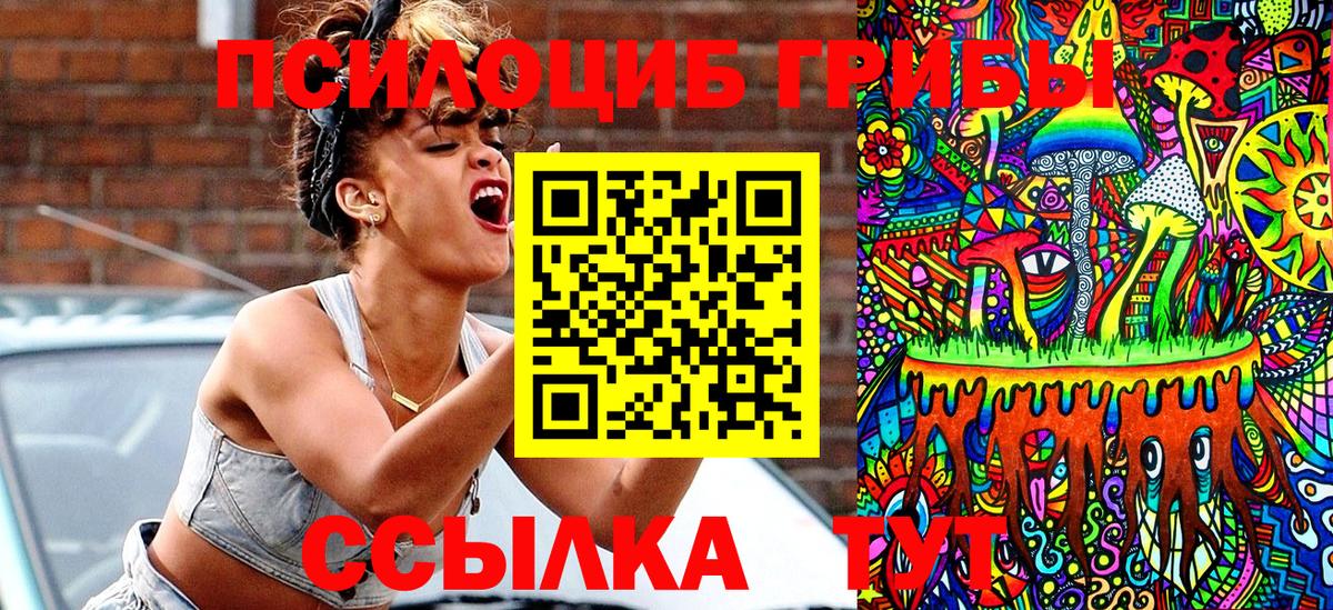 Псилоцибиновые грибы прущие грибы Борзя