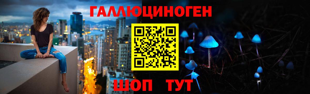 Борзя  Псилоцибиновые грибы ЛСД  где купить наркоту  Вход с VPN 